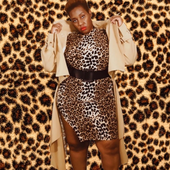 Fashion Nova “Fierce Energy” Leopard Print Dress – 2X - Picture 1 of 5